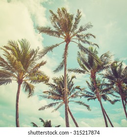 coconut palm tree and blue sky clouds with vintage tone.