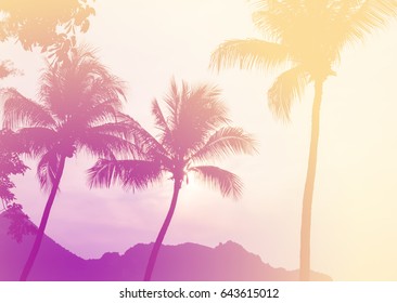 Coconut Palm Tree Color Flter