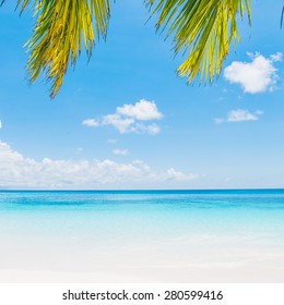 Coconut palm tree leaf with beautiful tropical beach and sea on blue sky background - Shutterstock ID 280599416