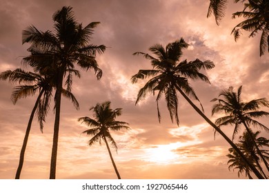 11 924 9件の サンセット の画像 写真素材 ベクター画像 Shutterstock