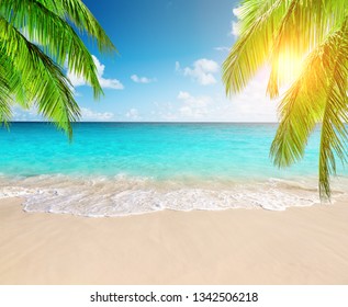 Coconut palm trees against blue sky and beautiful beach in Punta Cana, Dominican Republic. Vacation holidays background wallpaper. View of nice tropical beach. - Shutterstock ID 1342506218