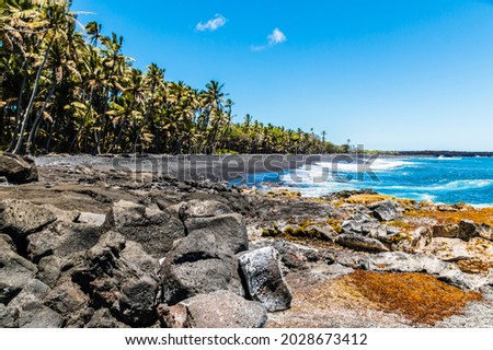 Coconut Palm Trees Along Pohoiki Black Sand Beach, Isaac Hale Beach Park, Hawaii Island, Hawaii, USA