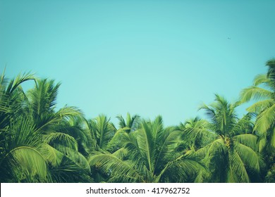Coconut palm trees, beautiful tropical background, vintage filter - Shutterstock ID 417962752