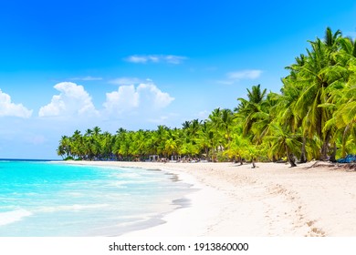 Coconut Palm Trees On White Sandy Beach In Punta Cana, Dominican Republic. Vacation Holidays Background Wallpaper. View Of Nice Tropical Beach.