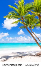 Coconut Palm Trees On White Sandy Beach In Punta Cana, Dominican Republic. Vacation Holidays Summer Background. View Of Nice Tropical Beach.