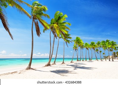 Coconut Palm trees on white sandy beach in Punta Cana, Dominican Republic