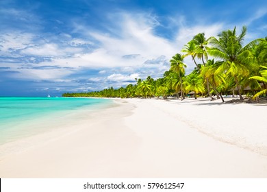 Coconut Palm trees on white sandy beach in Caribbean sea, Saona island. Dominican Republic - Shutterstock ID 579612547