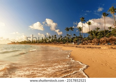 Coconut palm trees on white sandy beach against colorful sunset in Punta Cana, Dominican Republic. Dark silhouettes of palm trees and beautiful cloudy sky at beach in tropical island.