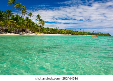 Coconut palm trees over tropical lagoon on Fiji Islands