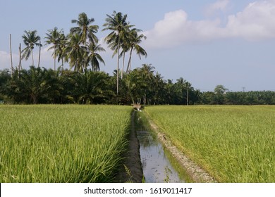 34 Sungai muar Images, Stock Photos & Vectors | Shutterstock