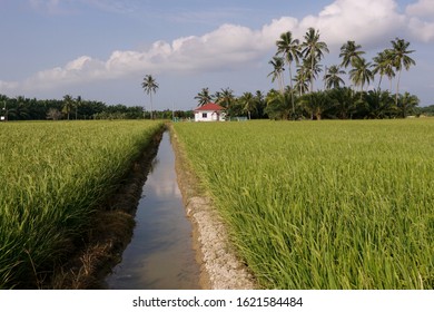 34 Sungai muar Images, Stock Photos & Vectors | Shutterstock