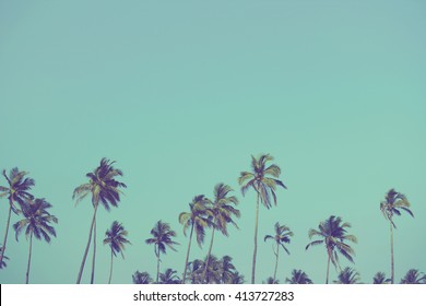 Coconut palm trees at tropical beach, vintage filter