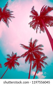 Coconut palm trees - Tropical summer breeze holiday, Vinatge tone effect