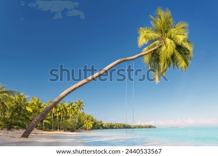 Coconut Palms on Tangalle Beach, Sri Lanka.