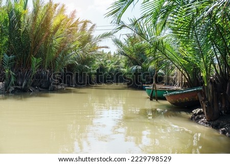 coconut river forest with basket boats, a unique Vietnamese at Cam thanh village. Landmark and popular for tourists attractions in Hoi An. Vietnam and Southeast Asia travel concepts