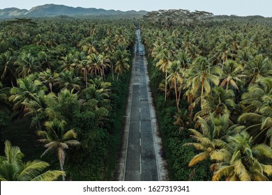 Coconut Road Siargao Philippines Drone