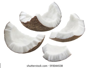 Coconut shell pieces set isolated on white background as package design element