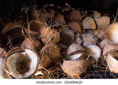 Coconut Shells At Copra Factory