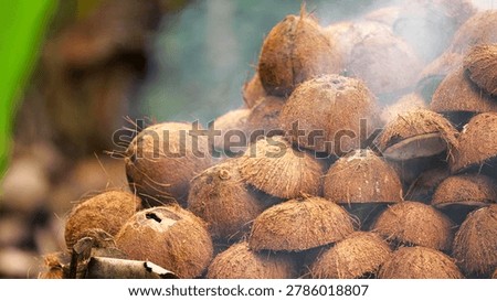 coconut shells stacked for smoke drying copra production on flores island, indonesia, southeast asia, close up
