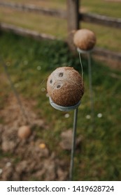 Coconut Shy Lined Up For Party Games