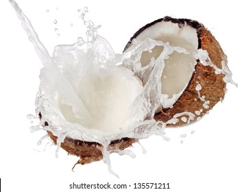 Coconut Splash