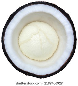 Coconut Split Down The Middle To Expose Its Flesh And The Sprout In The Middle