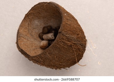 Coconut split in half with small dark objects inside on a light background
