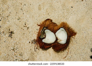 Coconut split open washed-up on tropical beach in South Pacific. - Shutterstock ID 2259138533