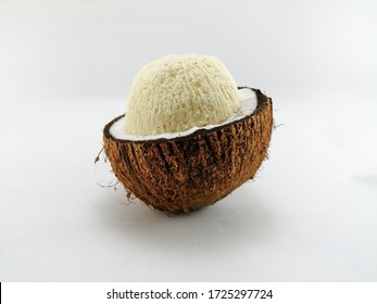 coconut seed clip art