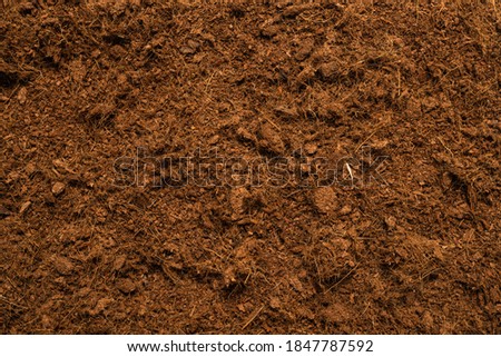 Coconut substrate background. Top view.
