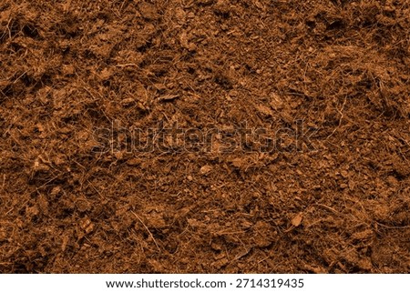 Coconut substrate background. Top view.