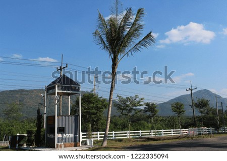 Coconut tree grown beside white wooden fence , in vintage design built for relaxation and rest in a property landscape in natural atmosphere, view of mountain behind