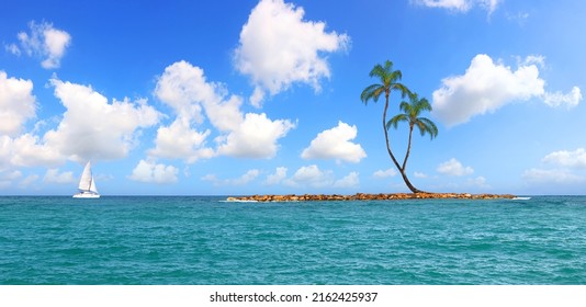 2,491 Middle coconut tree Images, Stock Photos & Vectors | Shutterstock