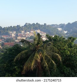 Coconut Tree House Background Blue Sky In The Morning