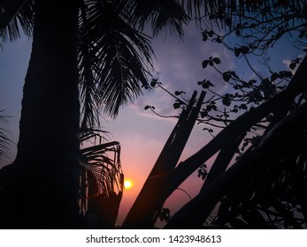 Coconut Tree Image In Evening During Sunset With Blue And Orange Background Of The Sky In Bihar, India On 14th May 2019 At 5:37 Pm. Nature And Silhouette Photography Of Coconut Tree In Evening. 