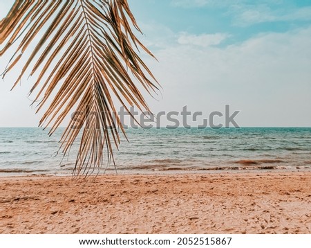 Coconut tree leaf with beach and seascape background in pastel tone. Quiet. No body. Calm. Paradise. Holiday and summer vibe. Isolated background. Copy space. Beautiful scenic. White sand. Blue sky.