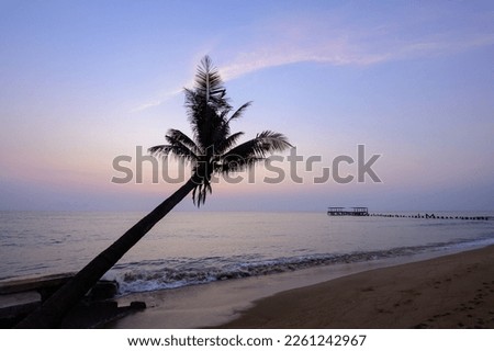 The coconut tree on the beach in the morning take the picture in sihouette style.
