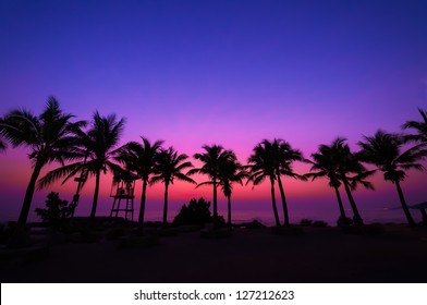 Coconut Tree Silhouette On Paradise Sunset, Twilight On The Beach.