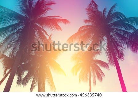 coconut tree at tropical coast,made with Vintage Tones,Warm tones
