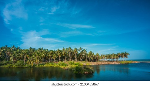 Coconut trees along the shore, Kanyakumari, Tamil Nadu. - Shutterstock ID 2130455867