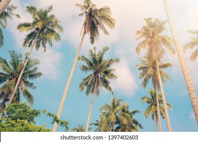 6,996 Palm tree jamaica Images, Stock Photos & Vectors | Shutterstock