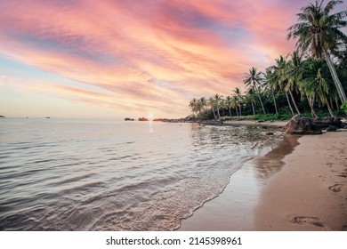 Coconut Trees during Sunset at a Tropical Beach on Hon Thom Island in Phu Quoc Vietnam - Shutterstock ID 2145398961