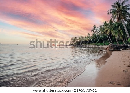 Coconut Trees during Sunset at a Tropical Beach on Hon Thom Island in Phu Quoc Vietnam