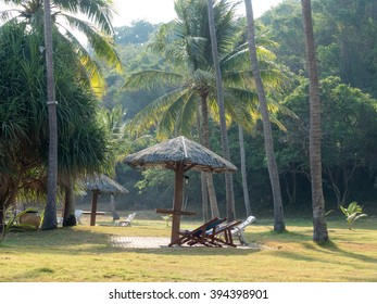 Coconut Trees And Outdoor Funiture In Sunshine Day.