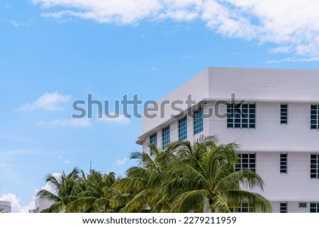 Coconut trees outside the white mid-rise building in Miami, Florida. There is a building on the right with paned grid windows against the sky background.