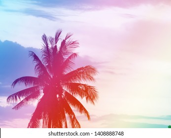 Coconut trees, sky and cloud background, soft pastel colors, suitable for all types. - Shutterstock ID 1408888748