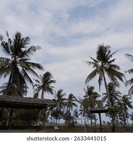 Coconut trees under a cloudy sky at a tropical beachside with rustic huts.