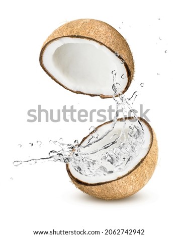 Coconut water splashing from brown coco nut fruit isolated on white background.
