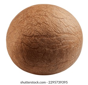 Coconut without shell, isolated on white background, clipping path, full depth of field