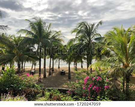 Coconutpalms beach in the philippines